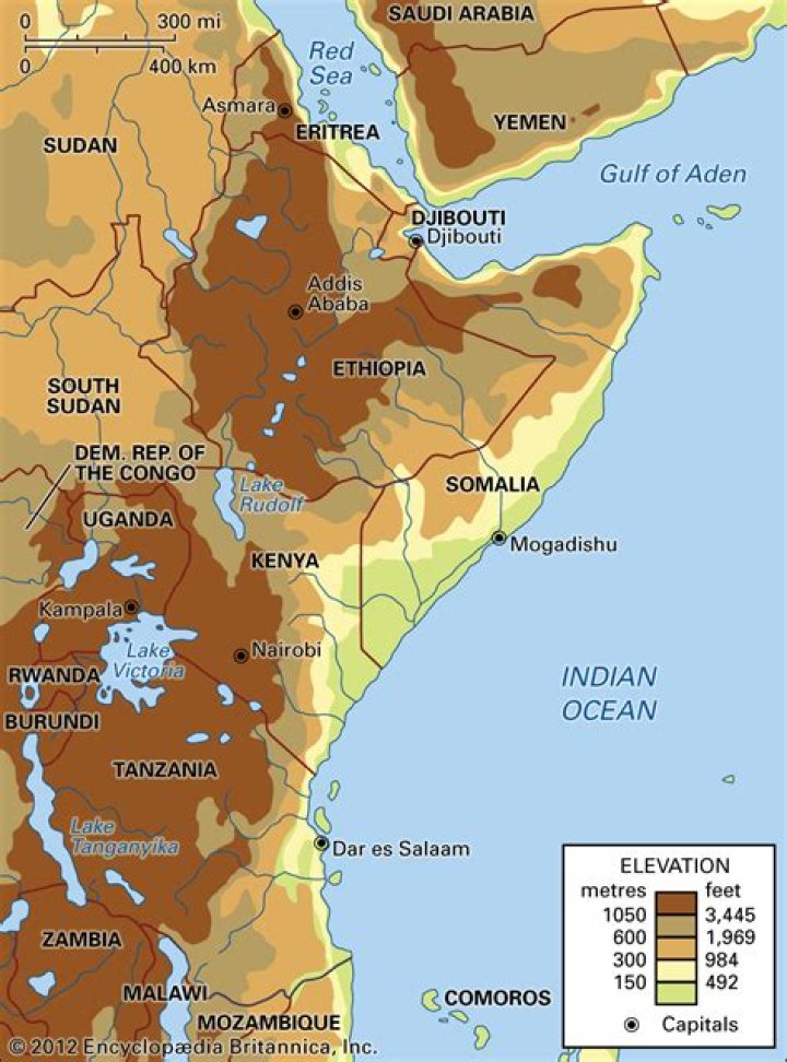 A map showing where to find Alpha Chansey in Cobalt Coastlands