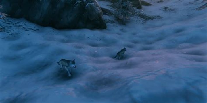 A wolf cub in Valheim