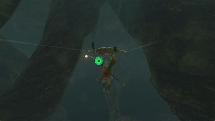 Link glides toward a wall of vines at the bottom of the Ancient Tree Stump in The Legend of Zelda: Tears of the Kingdom