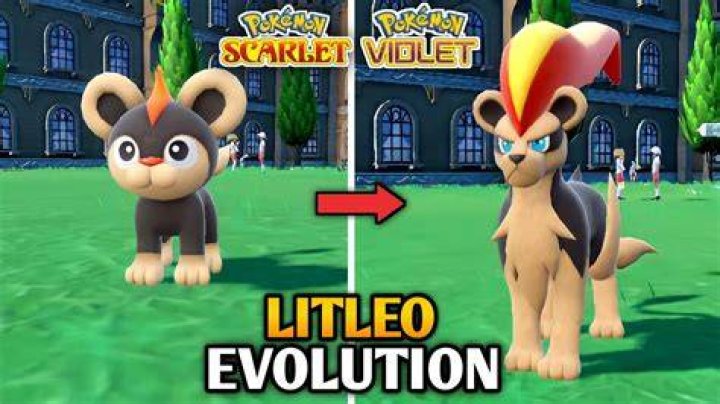 Litleo can evolve into two Pokémon, the male and female version of Pyroar, a much stronger normal-fire type Pokémon. Litleo can evolve into two Pokémon, the male and female version of Pyroar, a much stronger normal-fire type Pokémon.