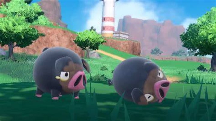 Normal - Shiny Normal - Shiny