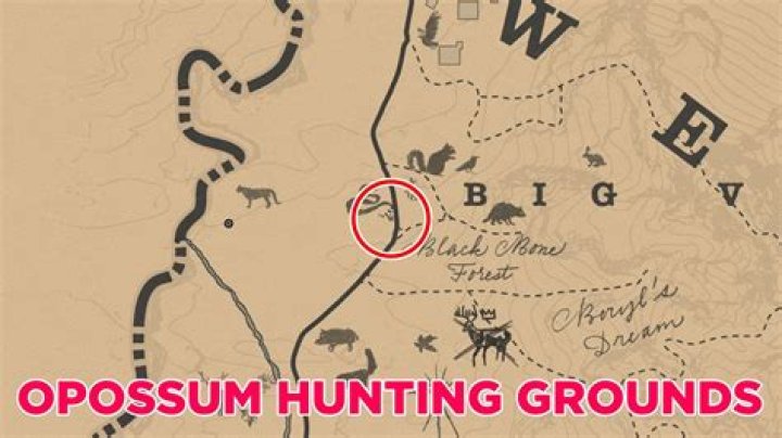 RDR2 opossum location and map guide (Master Hunter 9 Challenge)