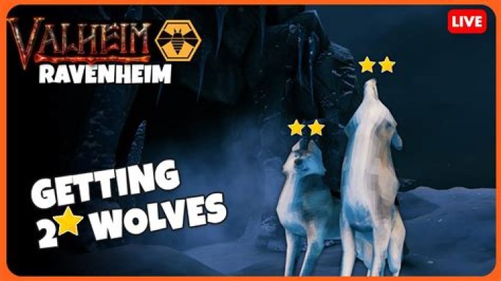 Two wolves in Valheim